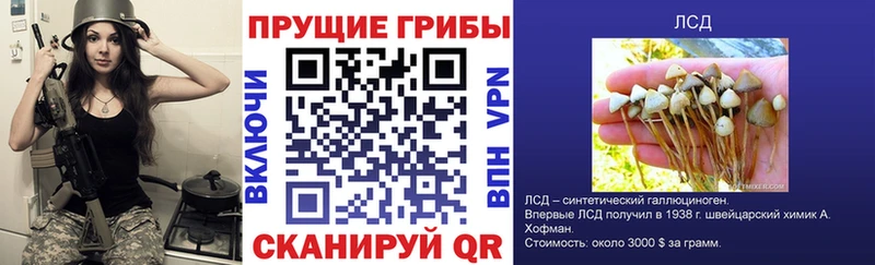 Псилоцибиновые грибы мухоморы  ОМГ ОМГ как войти  Инта  хочу наркоту 