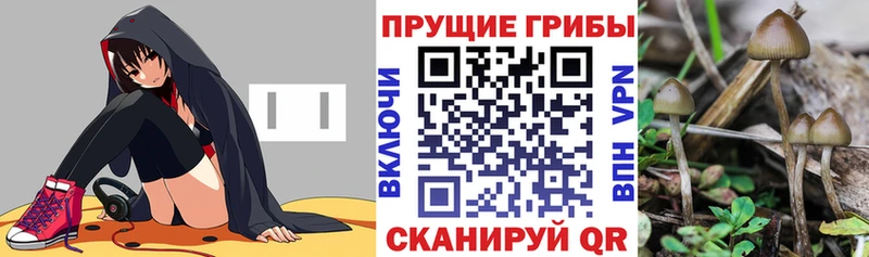 Галлюциногенные грибы MAGIC MUSHROOMS Инта
